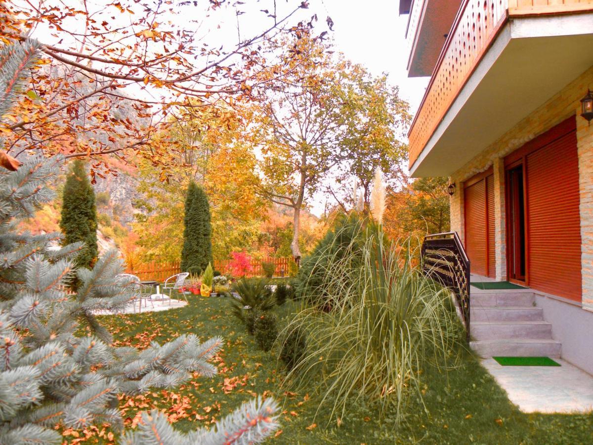 Vila Alexander B&B Вальбоне Екстер'єр фото
