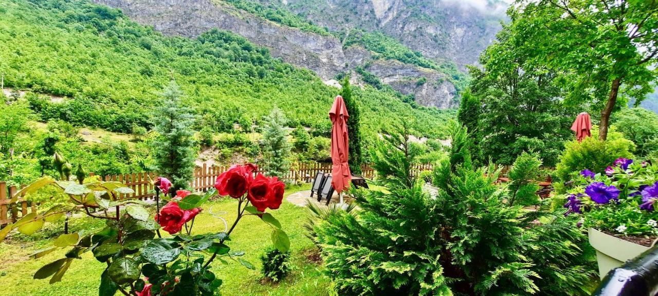 Vila Alexander B&B Вальбоне Екстер'єр фото