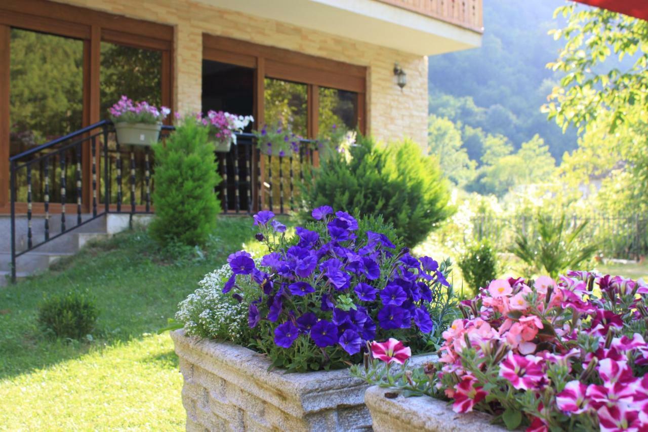 Vila Alexander B&B Вальбоне Екстер'єр фото